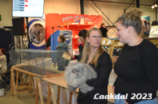 Laakdal 2023 174