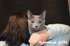 Arendonk 2024 238