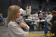 Antwerpen 188