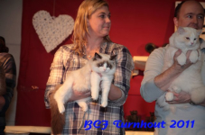 bcf antw 2010 218