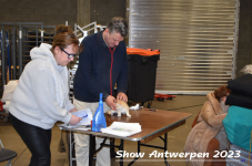 Schow Antwerpen 2023 052
