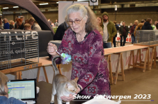 Schow Antwerpen 2023 269