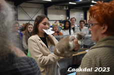 Laakdal 2023 399