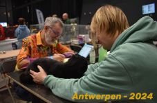 Antwerpen 213