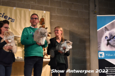 Antwerp 2022289