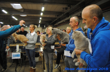 antwerp 2018 0225