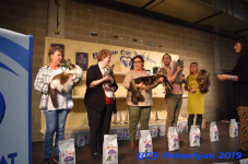 Antwerpen 2019DSC 0447