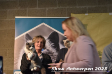 Schow Antwerpen 2023 286