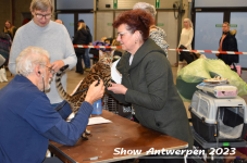 Schow Antwerpen 2023 083