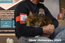 Antwerp 2022266