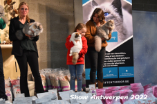 Antwerp 2022298
