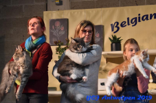 Antwerpen 2019DSC 0314