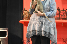 Katttenshow Arendonk 2020 DSC 0445