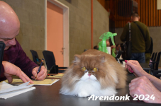 Arendonk 2024 423