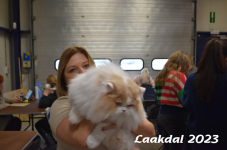 Laakdal 2023 206