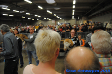 antwerp 2018 0218
