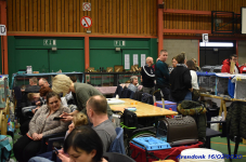 Katttenshow Arendonk 2020 DSC 0356