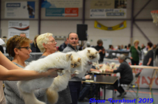 turnhout 2019-0448