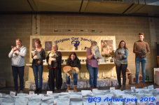 Antwerpen 2019DSC 0307