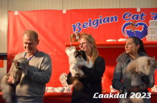 Laakdal 2023 310