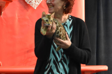 Katttenshow Arendonk 2020 DSC 0755