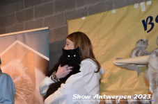 Schow Antwerpen 2023 367