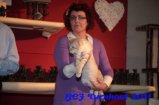 bcf antw 2010 204