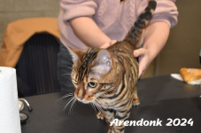 Arendonk 2024 090