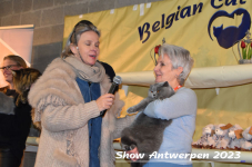 Schow Antwerpen 2023 436
