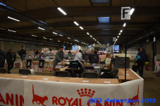 Antwerpen 2019DSC 0082