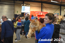 Laakdal 2023 305