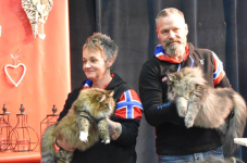 Katttenshow Arendonk 2020 DSC 0680