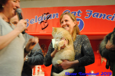 turnhout 2019-0229