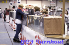  bcf ant 201155