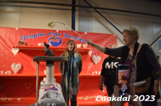 Laakdal 2023 463
