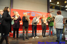 turnhout 2019-0223