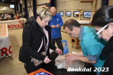 Laakdal 2023 075