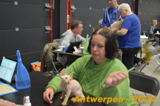 Antwerpen 257