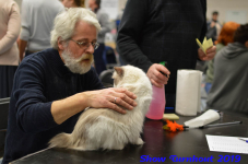 turnhout 2019-0253