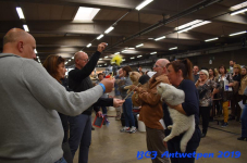 Antwerpen 2019DSC 0351