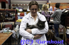  bcf ant 201134