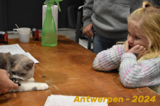 Antwerpen 055