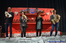 Katttenshow Arendonk 2020 DSC 0434