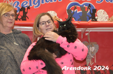 Arendonk 2024 349