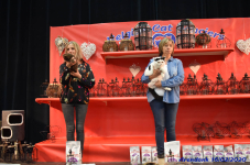 Katttenshow Arendonk 2020 DSC 0575