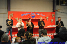 turnhout 2019-0147