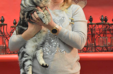 Katttenshow Arendonk 2020 DSC 0276