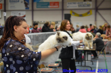 turnhout 2019-0440