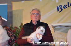 Schow Antwerpen 2023 396