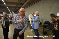 Antwerp 2022241